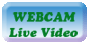 3 Web Cams at Our House in Greer
